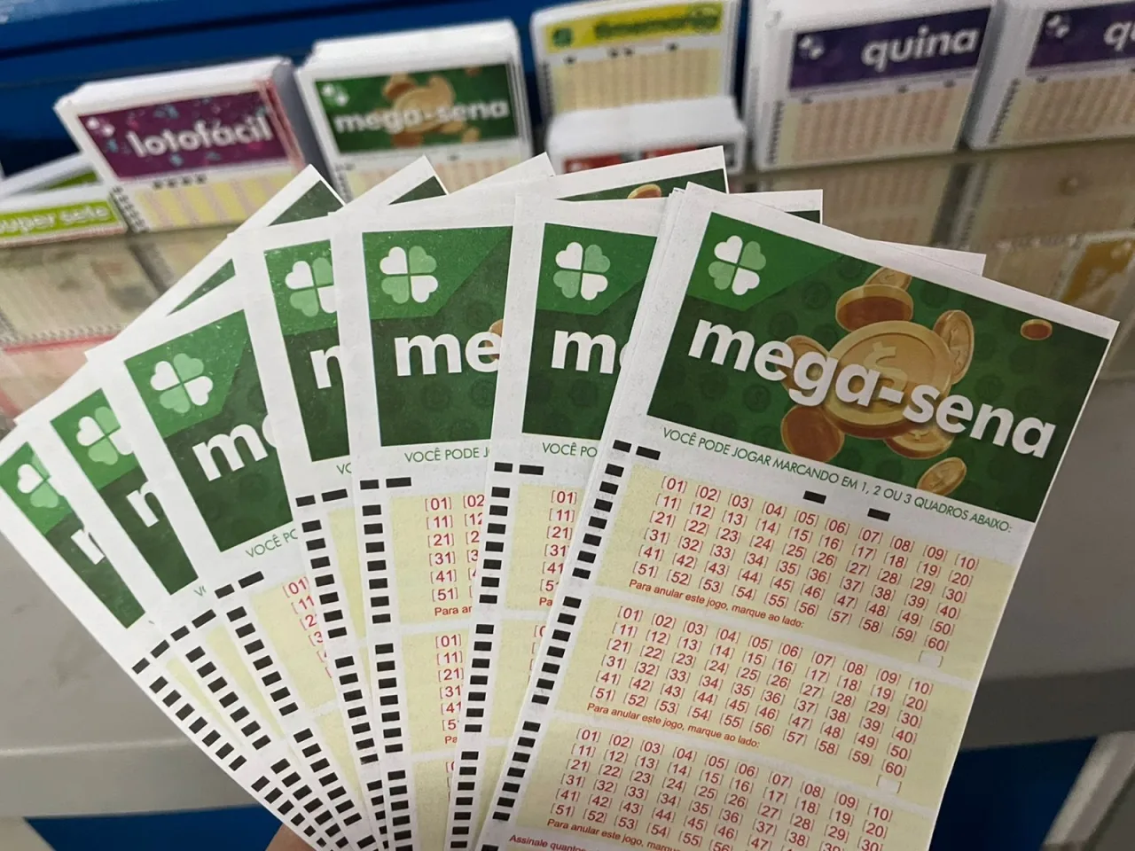 Volante da Mega-Sena preenchido para aposta