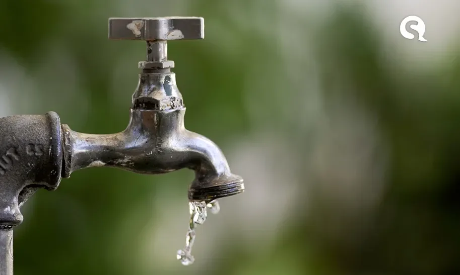 Beber dois litros de água por dia é excessivo, diz estudo
