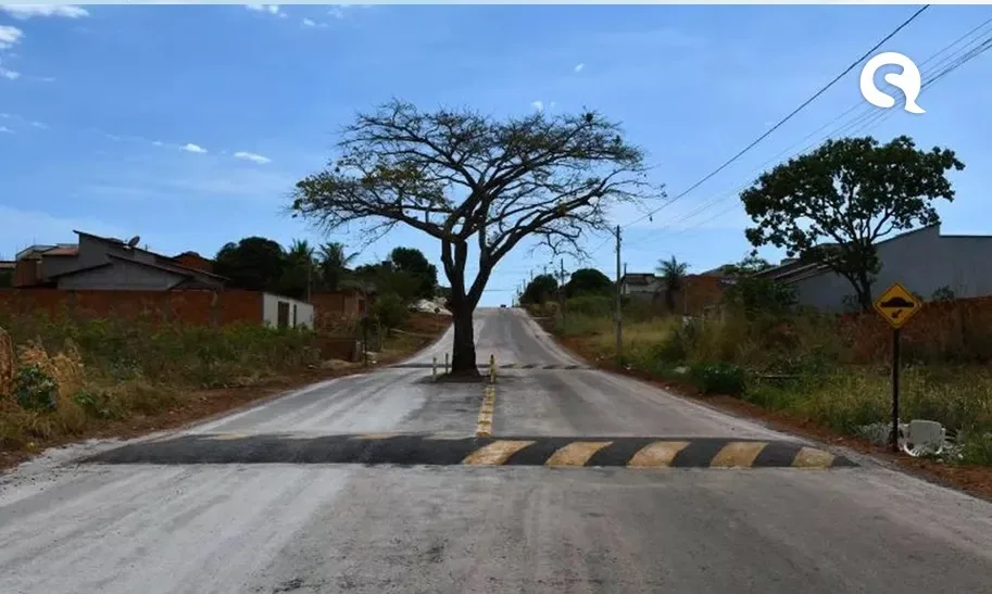 Prefeitura decide não derrubar pé de cajá no meio de avenida e coloca quebra-molas para ‘evitar acidentes’