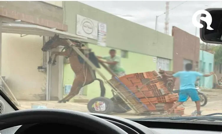 Burro fica suspenso em carroça com excesso de peso em Juazeiro do Norte