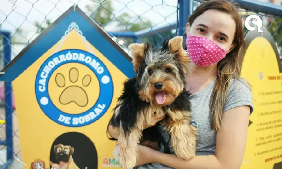 11ª Campanha de Adoção de Cães e Gatos em Sobral acontece neste sábado (11/11)