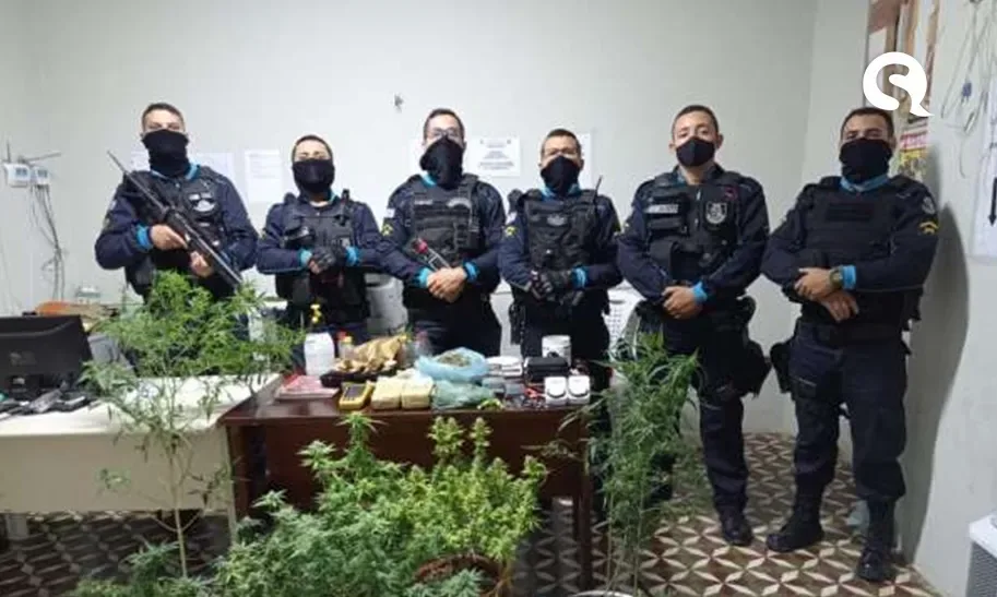 Polícia Militar localiza estufas com 14 pés de maconha dentro de residência na Praia do Preá/CE
