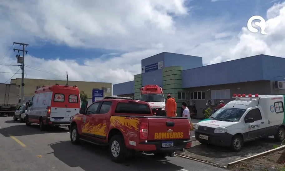 Idosa de 75 anos morre após família ser atacada por enxame de abelhas em Coreaú-CE