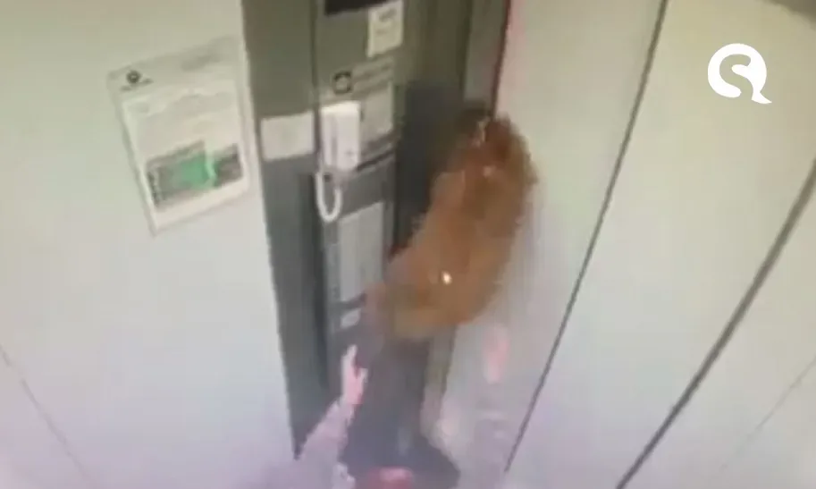 Cachorro fica pendurado pela coleira após elevador entrar em movimento em São Paulo