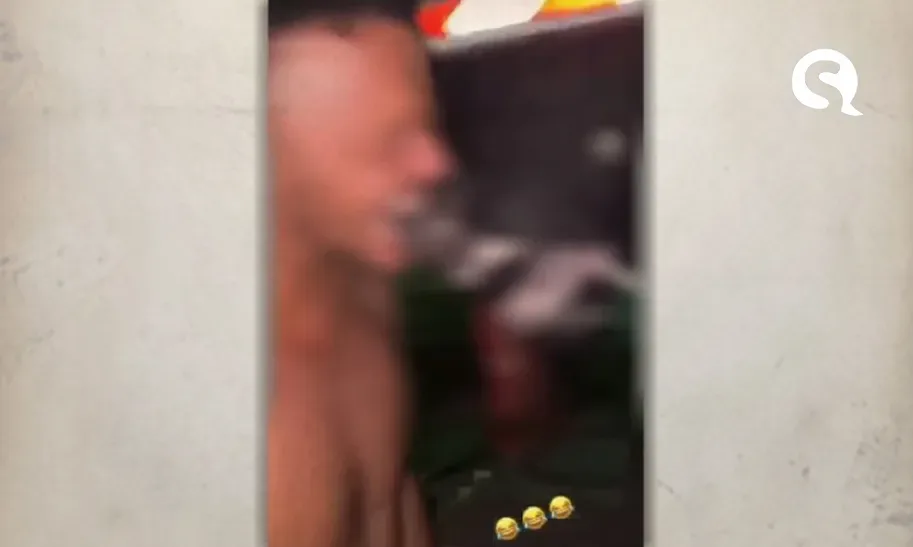 Estudante de Veterinária é detido após publicar vídeo mordendo focinho de boi no Ceará
