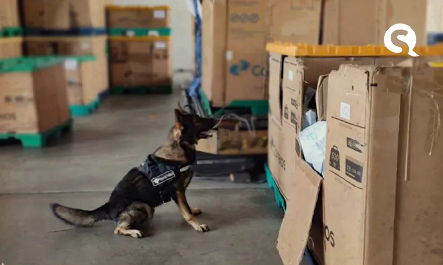 Receita Federal intercepta mais de 2 kg de maconha em encomenda
