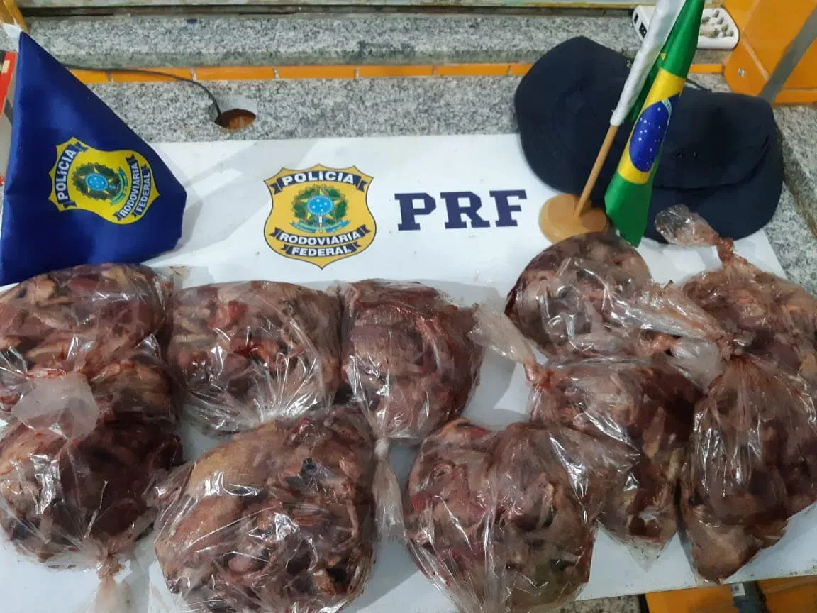 PRF apreende aves silvestres abatidas com motoqueiro em Irauçuba/CE