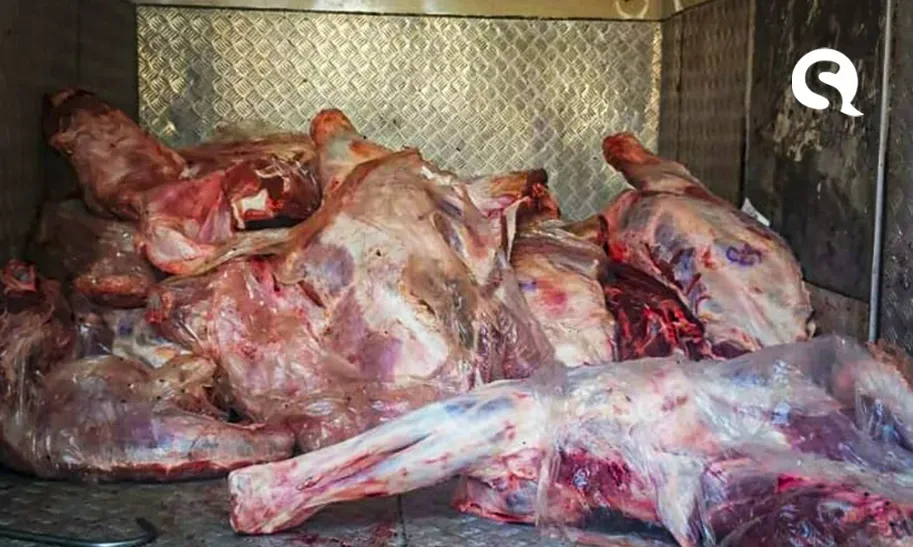 Forças de segurança recuperam carga com mais de uma tonelada de carne em menos de duas horas após roubo na Capital
