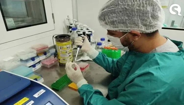 Cortes no Orçamento afetam indígenas, quilombolas, ciência e ecologia