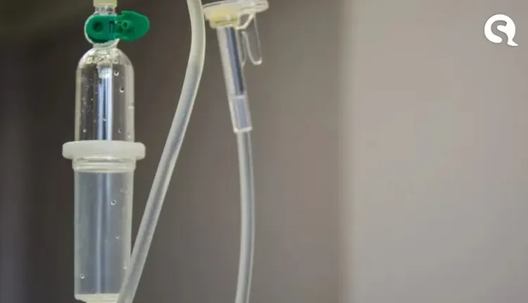 ‘Virose da mosca’ atinge quase 5 mil pessoas por semana no CE em 2024; veja sintomas e como prevenir