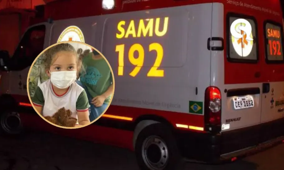 Fatalidade | Criança de 5 anos morre após palmeira cair em cima da mesma