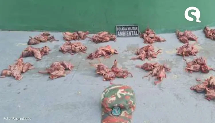 Dois suspeitos são detidos com 88 aves silvestres abatidas em Sobral