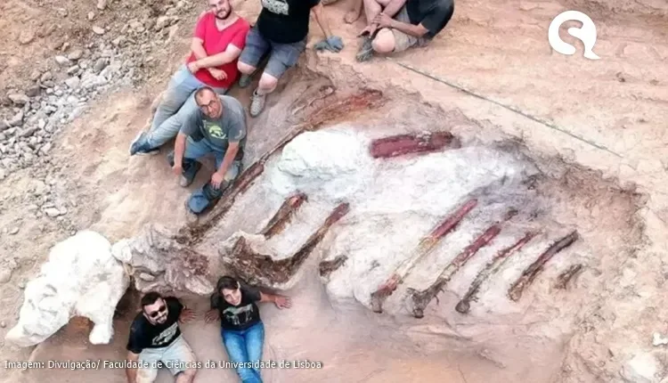 Fóssil de um dos maiores dinos europeus surge em quintal de casa portuguesa…