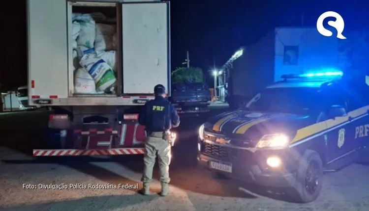 Mais de seis toneladas de camarão são apreendidas no Interior do Ceará