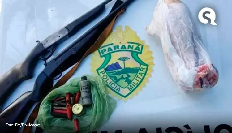 Animal em extinção abatido é encontrado em casa após denúncia no PR