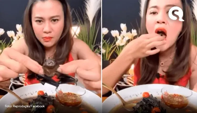 Youtuber é presa na Tailândia após publicar vídeo comendo sopa de morcegos