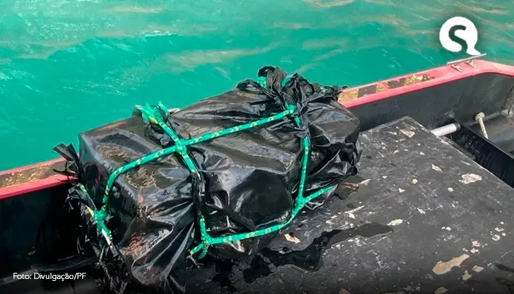 PF apreende 65 quilos de cocaína escondidos em navio atracado no Porto do Pecém, no Ceará