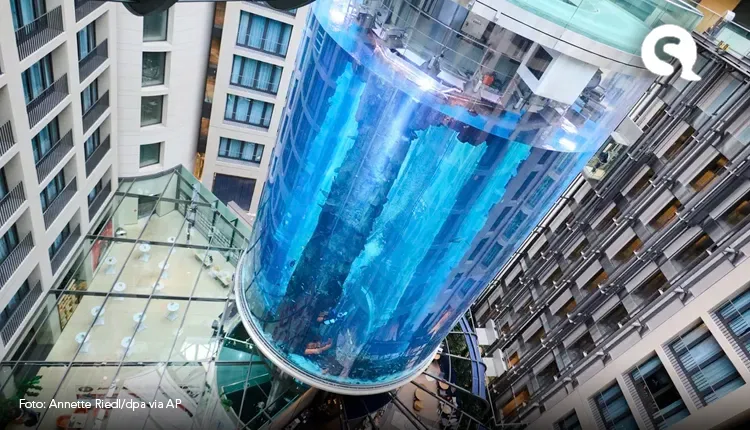 Aquário gigante estoura em Berlim, e 1.500 peixes exóticos caem em avenida da cidade