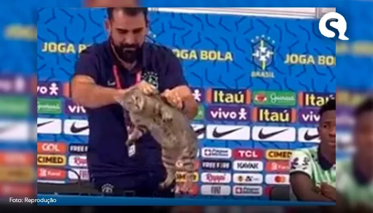 Fórum entra com ação contra a CBF por maus-tratos de gato na Copa