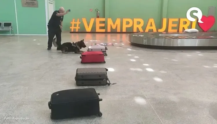 Malas com 51 kg de skunk são apreendidas em aeroporto próximo a Jericoacoara
