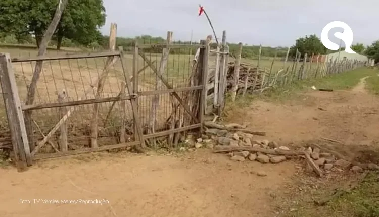 Ladrões invadem propriedade, furtam ovelhas e antes de fugir matam cão enforcado, no Ceará