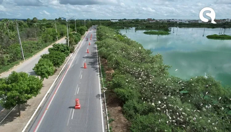 Barreiras de velocidade instaladas no bairro Belchior auxiliam na preservação de aves nativas em reprodução