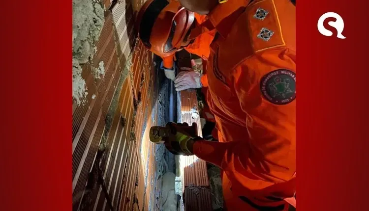 Corpo de Bombeiros resgata cadela presa entre paredes em Sobral