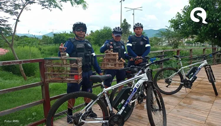 No Parque Pajeú, equipe de ciclopatrulhamento resgata aves silvestres mantidas em cativeiro