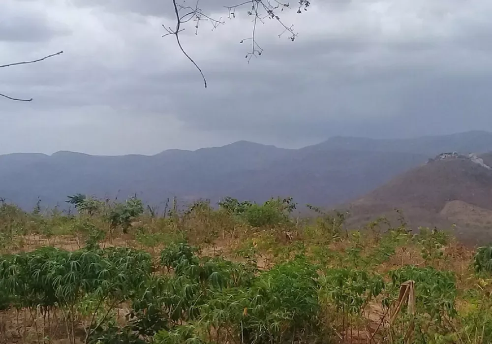 Tremores de terra são registrados por três dias seguidos em Alcântaras, na região norte do Ceará