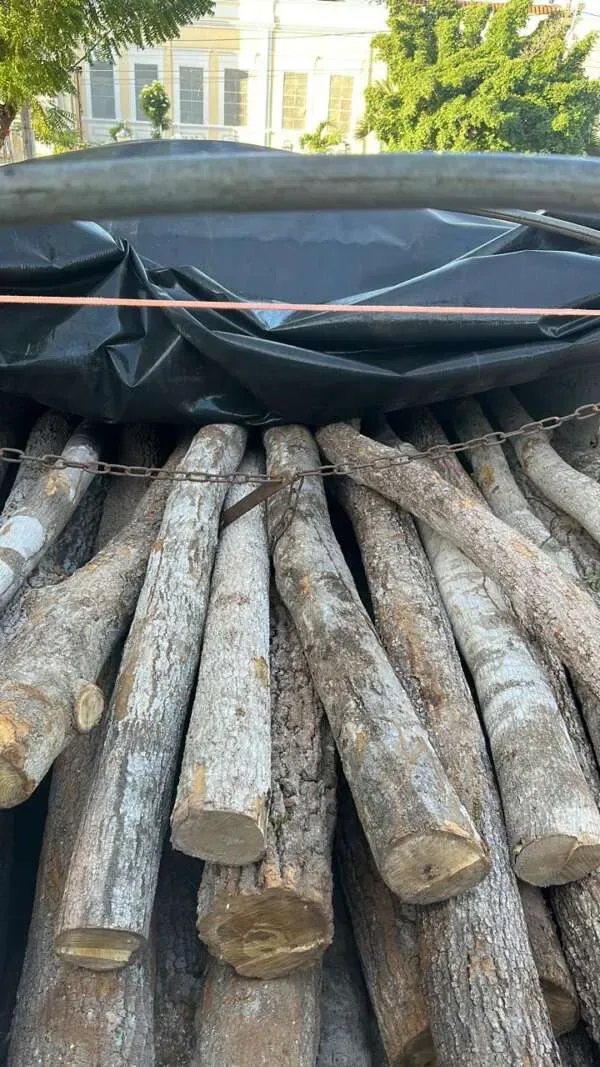 Polícia Militar apreende caminhão com carga irregular de madeira em Sobral