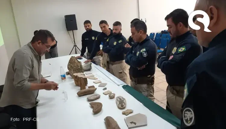 Operação apreende fósseis, resgata 200 aves da fauna brasileira e aplica mais de R$ 100 mil em multas no Ceará