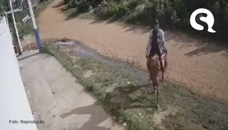 Indivíduo pratica assalto em cima de cavalo na cidade do Crato