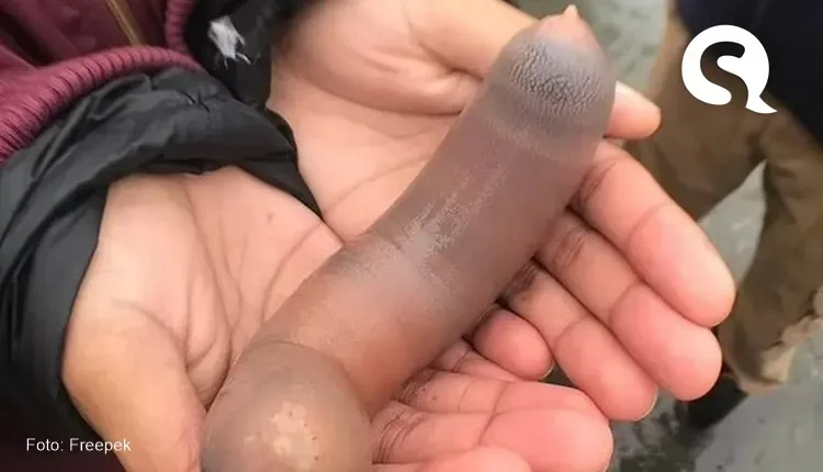 Milhares de ‘peixes-pênis’ de 25 cm são encontrados em praia na Argentina