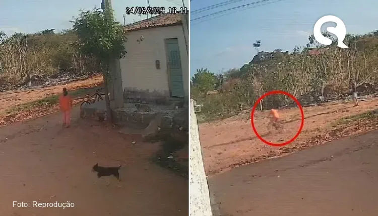 Detento aproveita horário de trabalho e foge após furtar bicicleta em Juazeiro do Norte