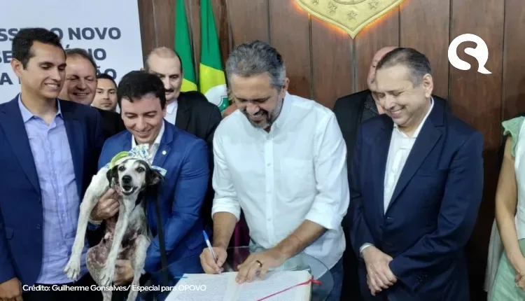 Com cachorros no Palácio, Célio Studart toma posse como secretário da Proteção Animal