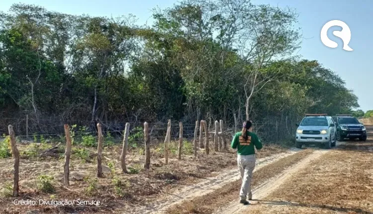 Operação resulta em R$ 2 milhões em multa por desmatamento no Ceará