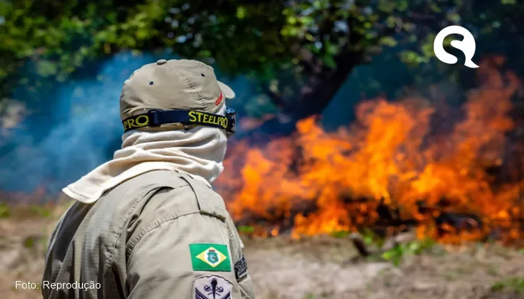 Ceará tem aumento de 71% em incêndios de vegetações em 2023