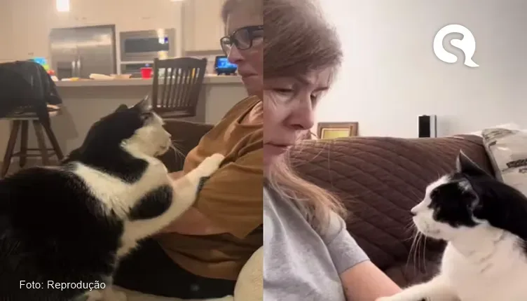 Gatinho é flagrado afagando sua tutora que perdeu o marido e vídeo viraliza