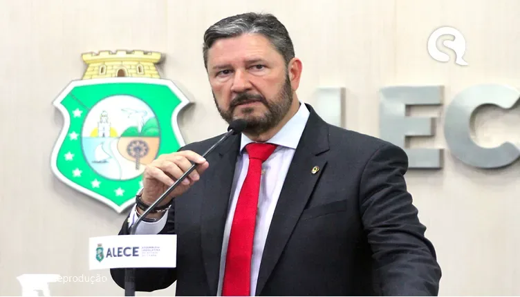 Deputado Romeu Aldigueri propõe lei para incentivar pet shops a acolher animais abandonados no Ceará