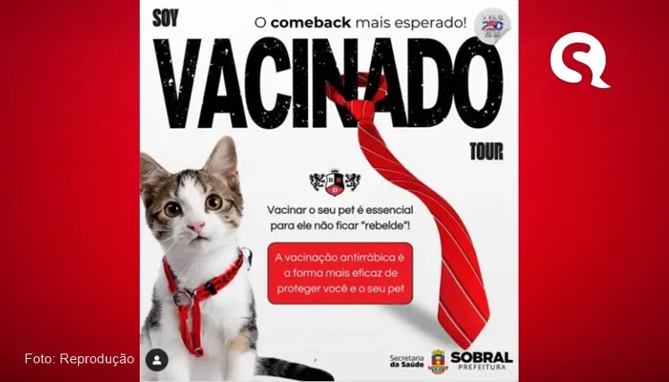 Prefeitura de Sobral levará vacinação antirrábica porta a porta