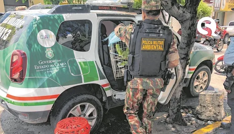 PM acusado de exigir dinheiro de empresários em Acaraú é absolvido