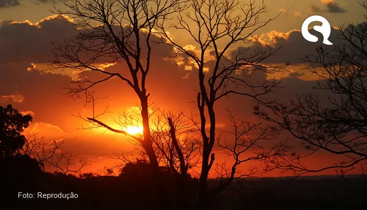 Primeiro trimestre de 2024 deve ser de chuvas abaixo da média e ‘excesso de calor’, indica previsão