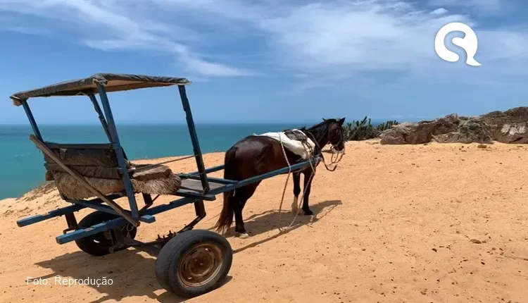 Prefeitura proíbe passeio turístico com animais na Vila de Jericoacoara