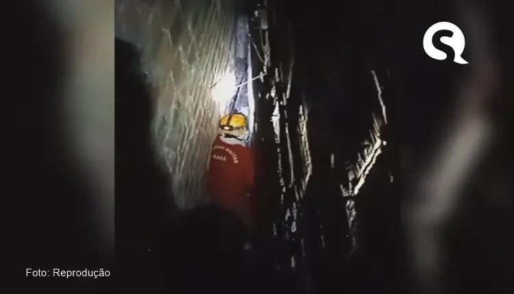 Corpo de Bombeiros resgata animal preso entre paredes em Sobral