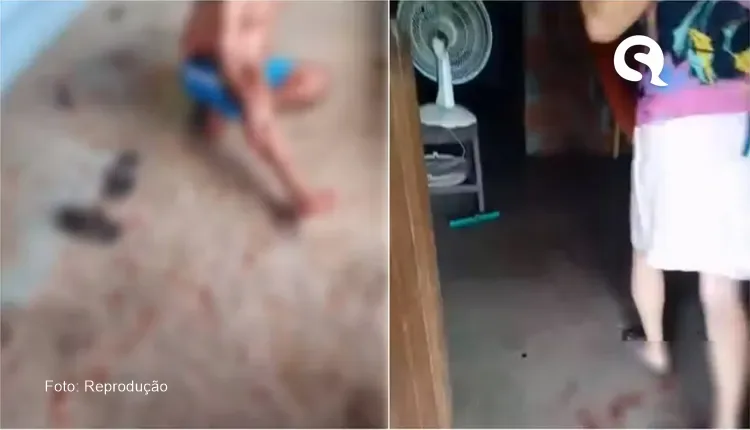 Casal de idosos tem casa invadida e são agredidos por assaltante em Granja