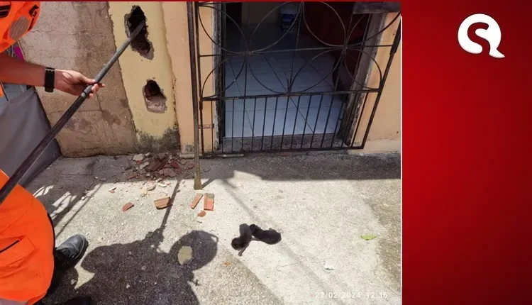 Corpo de Bombeiros resgata quatro filhotes de gato presos entre paredes de casa em Sobral