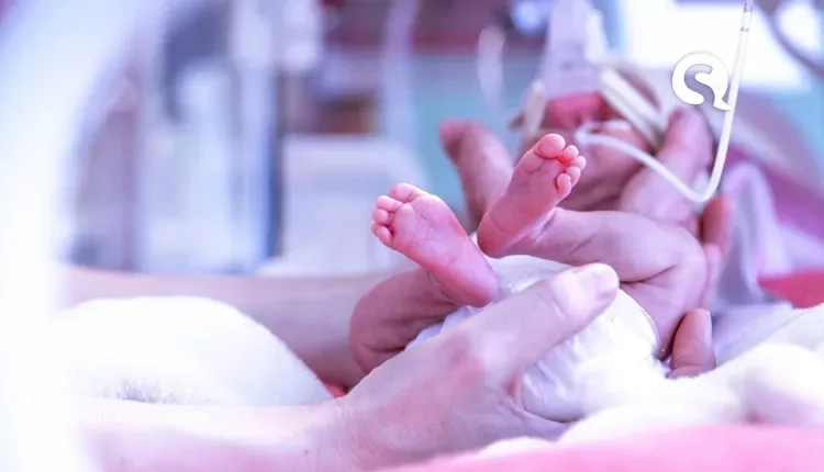 Mortalidade infantil volta a crescer no CE, com 1,3 mil óbitos de bebês por ano; entenda fatores