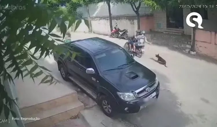 Homem é preso por arrastar cachorro preso a uma moto no Ceará