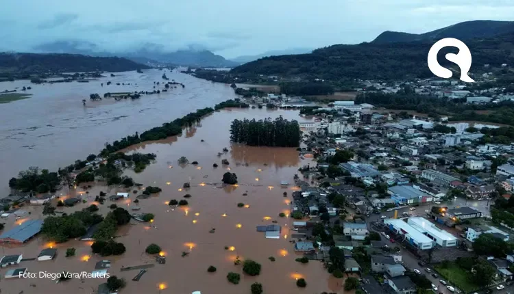 Ceará envia agentes e cães para ajudar em buscas e salvamentos no Rio Grande do Sul
