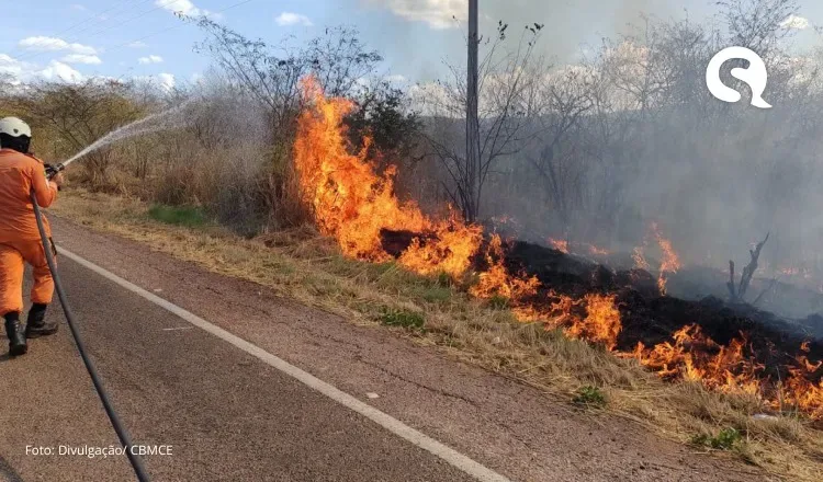 Incêndios em vegetação: atendimentos no Ceará têm queda de 37% em 2024